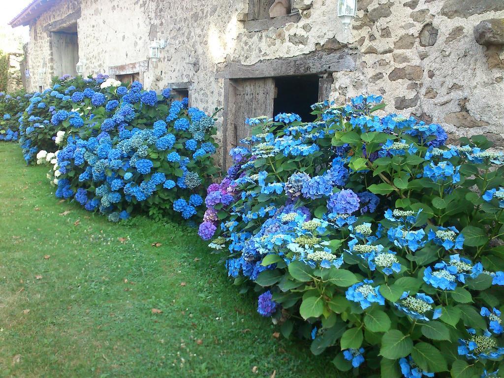 Le Domaine De Panissac Bed & Breakfast Berneuil  Luaran gambar